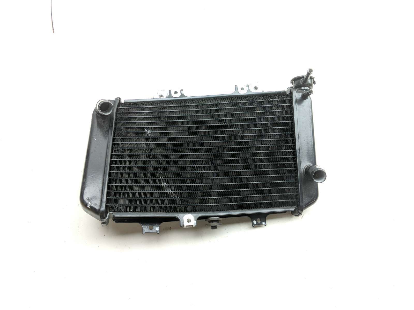 22 BMW G310GS Radiator 17118558350 - Sun Coast Cycle Sports | Used