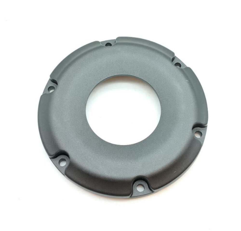 NEW OEM YAMAHA RAIDER XV1900C 2017 PLATE 1 1D7-17665-10-00