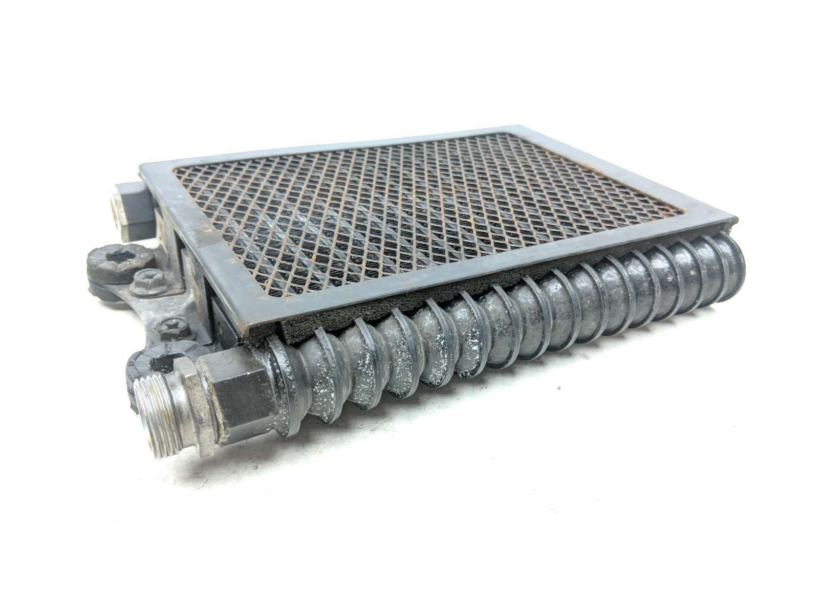 19 Royal Enfield INT 650 Oil Cooler w/ Screen Grille Guard