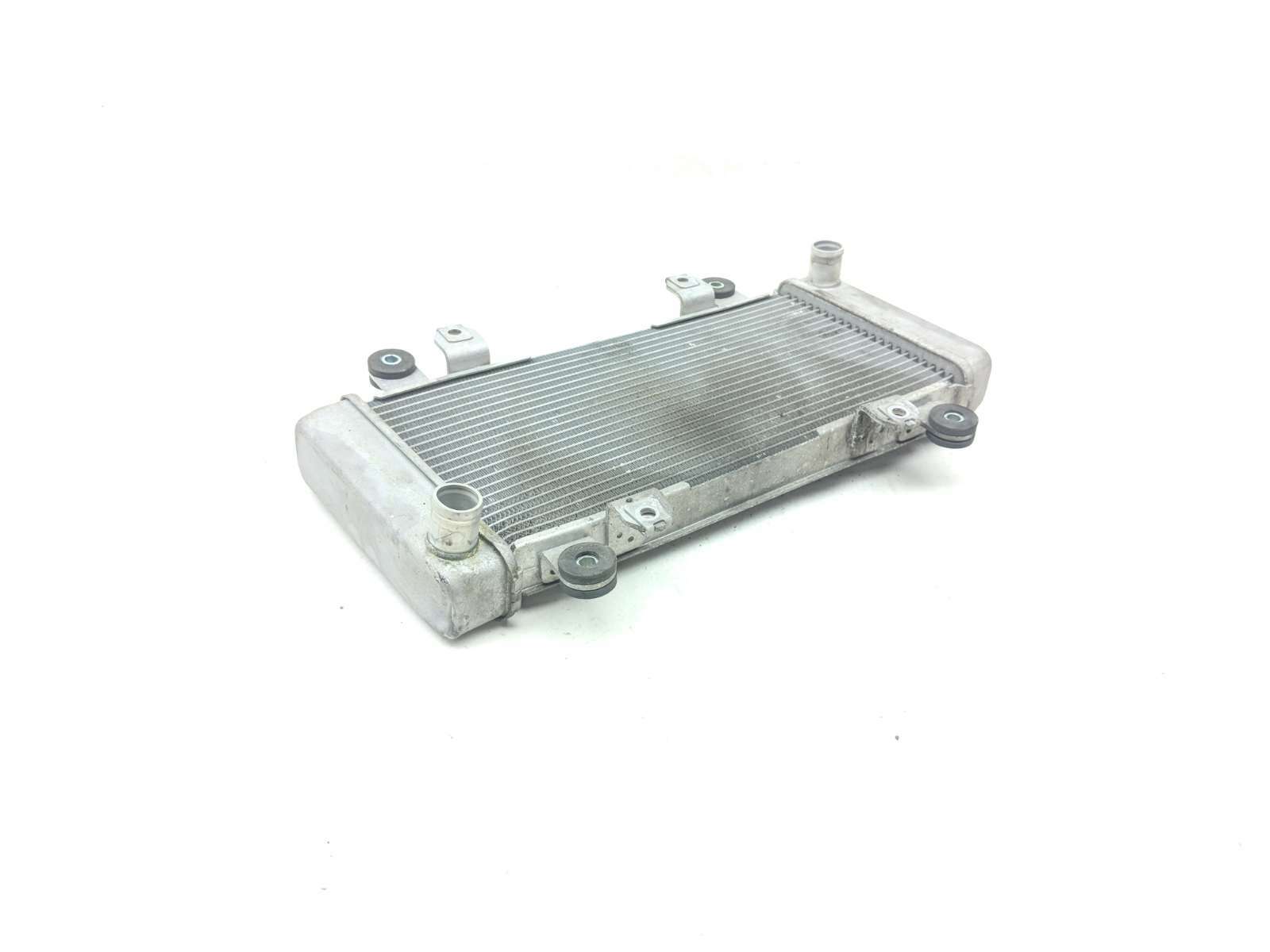 13 Kawasaki Ninja EX300 Engine Motor Radiator - Sun Coast Cycle