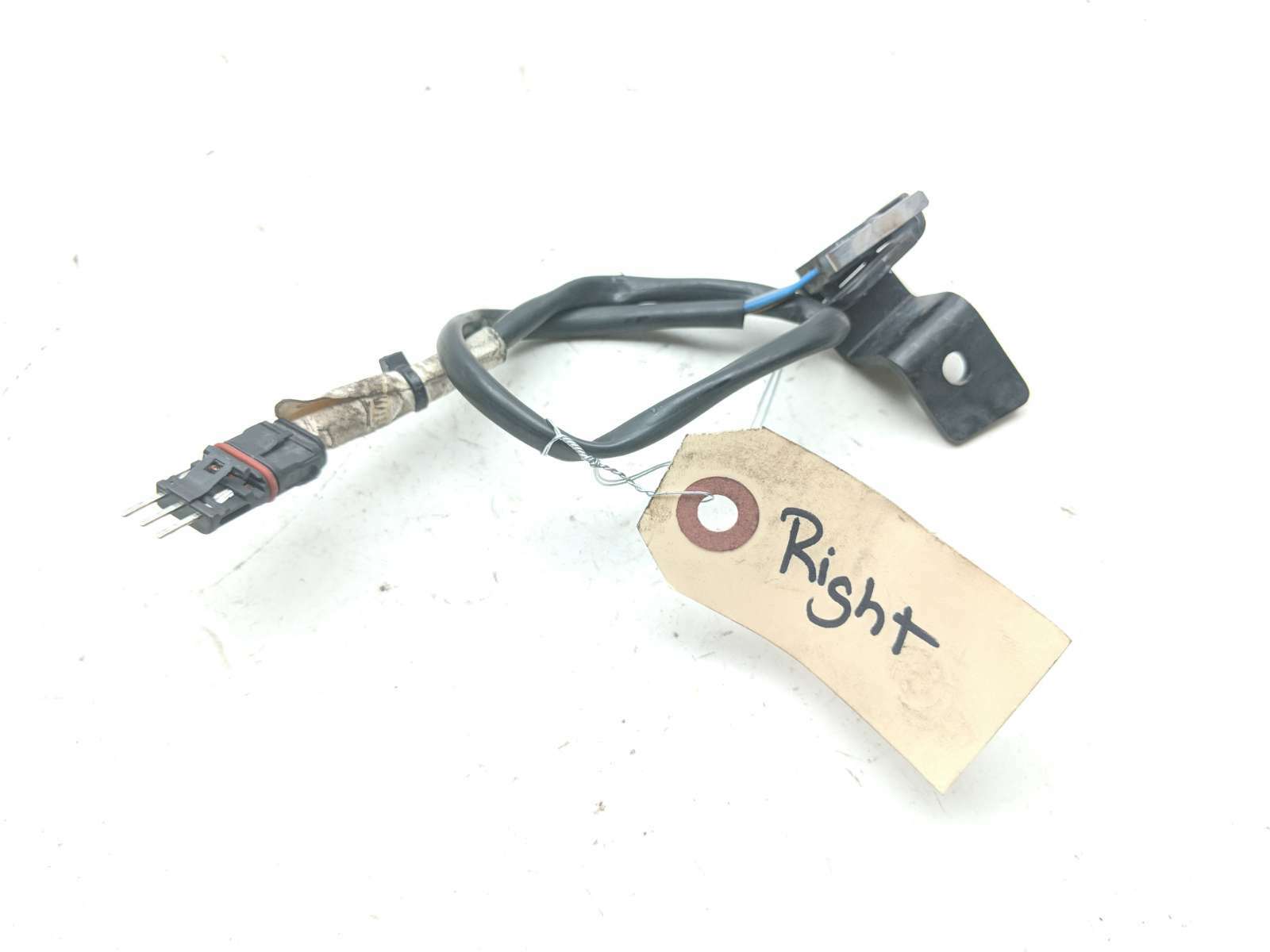 22 Ducati Scrambler 800 Rear Brake Light Switch Sensor Harness