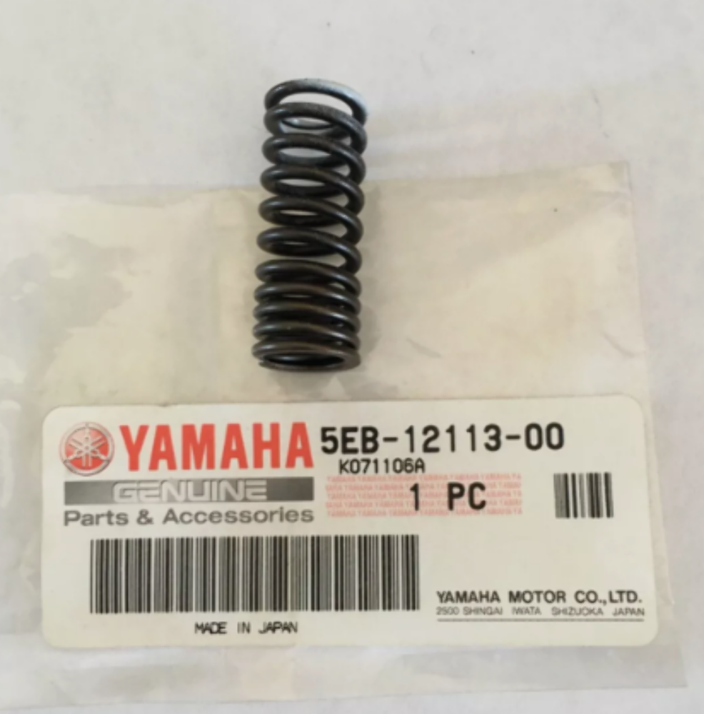 YAMAHA NEW OEM INNER VALVE SPRING 99-02 R6 5EB-12113-00