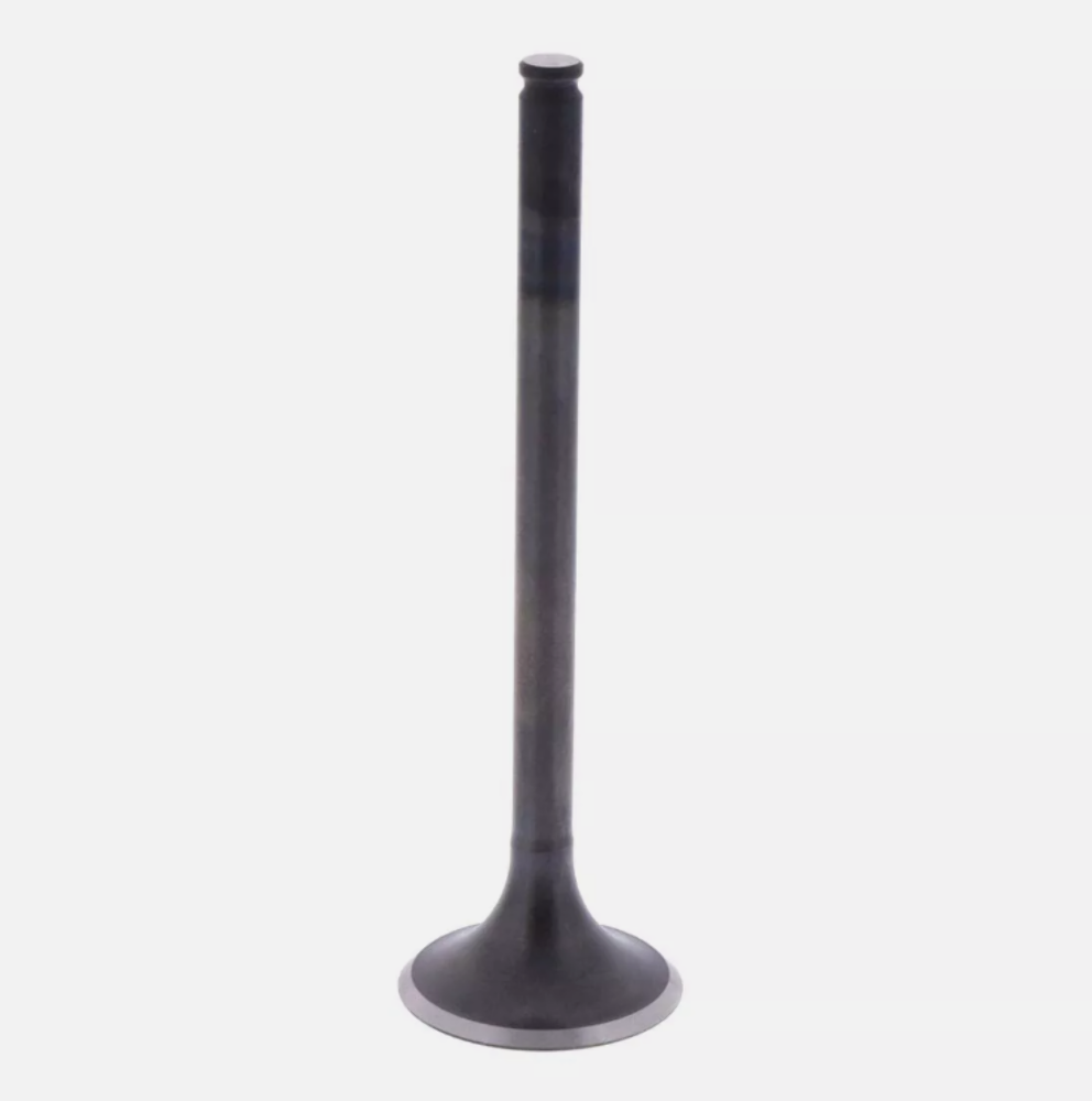 HONDA NEW OEM INTAKE VALVE 14711-MR5-670