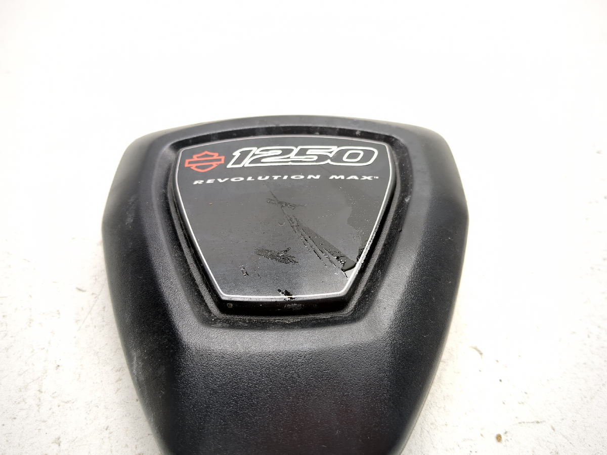 21-25 Harley Pan America RA1250S Engine Motor Cover 57300275