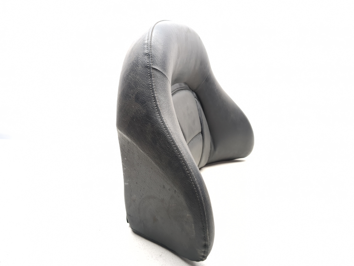 01-05 Honda Goldwing 1800 GL1800 Rear Passenger Backrest