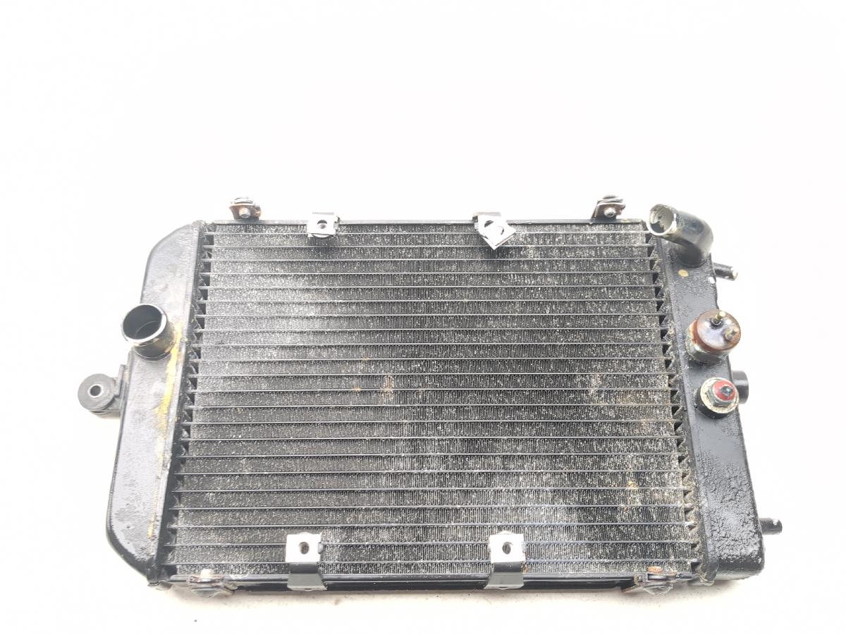02 Kawasaki Vulcan 1500 Classic VN1500 Engine Motor Radiator 32801