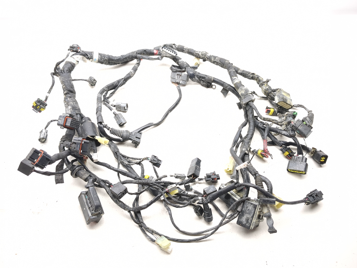 11-15 Ducati Diavel Main Wiring Wire Harness Loom 51017341B