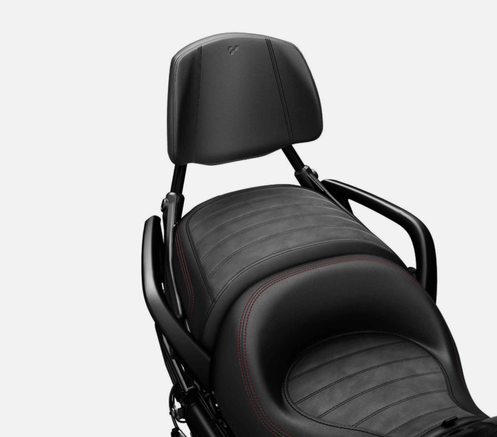 2019 Can-Am Spyder F3, F3-S, F3-T OEM Detachable Rear Backrest 219400703