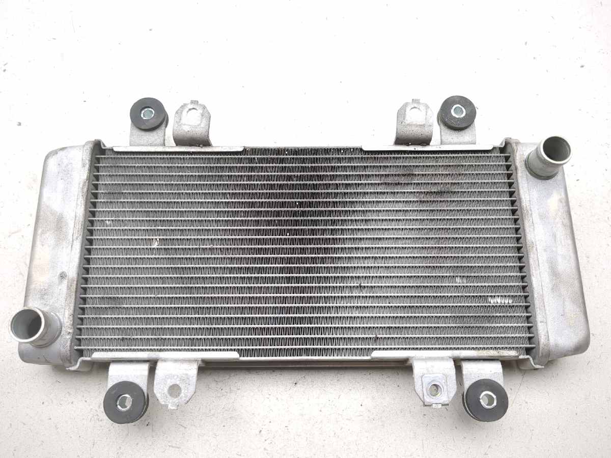 13-17 Kawasaki Ninja 300 EX300 Engine Motor Radiator