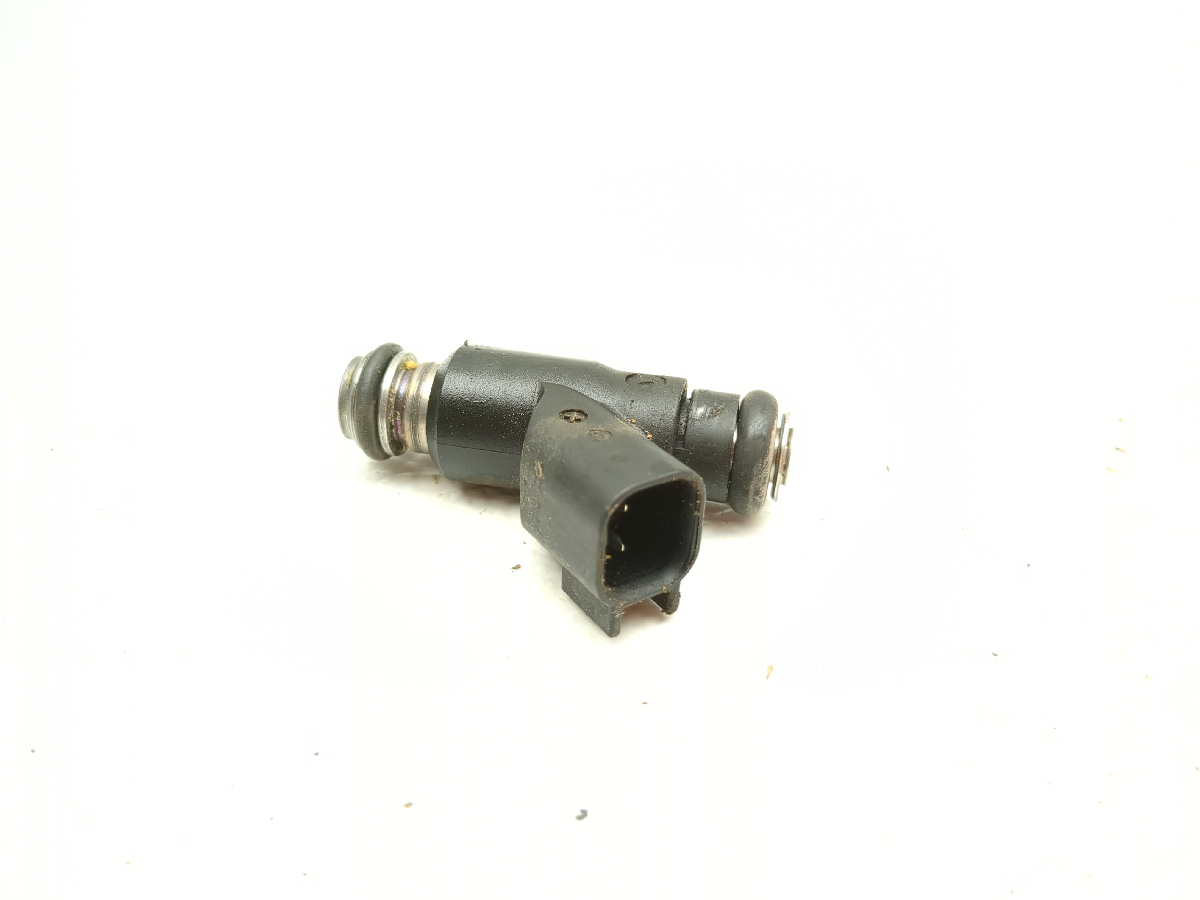 18-23 Massimo Buck 450 Gas Fuel Injectors