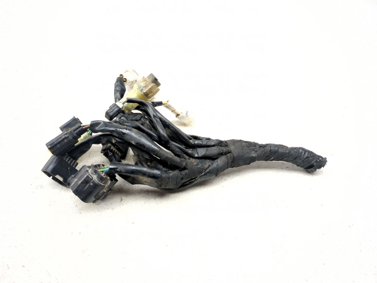 19 20 KTM Adventure 790 Part Of Main Harness