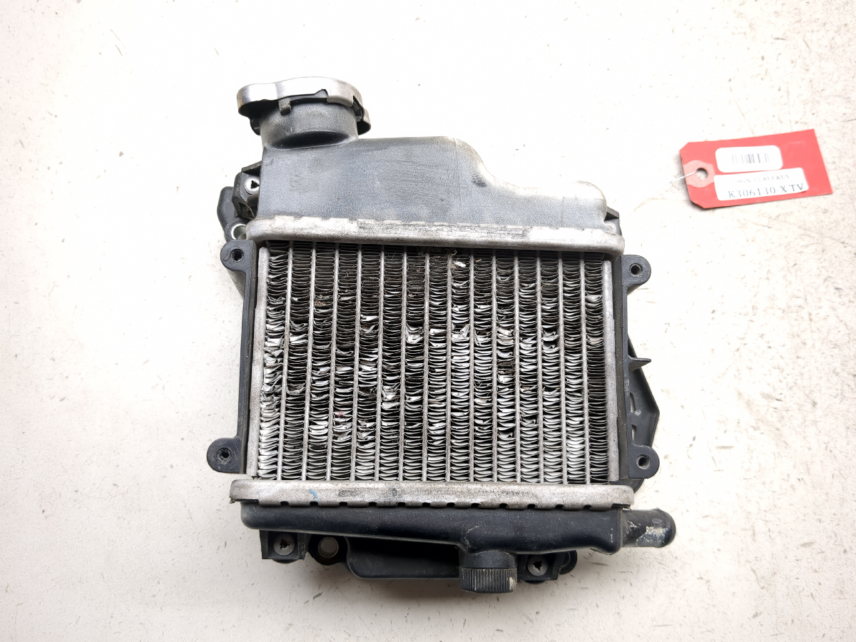 03-25 Honda Ruckus NPS50 Engine Motor Radiator