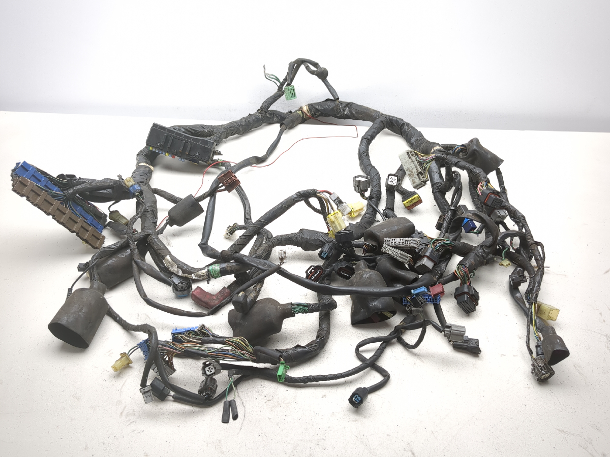 01-05 Honda Goldwing 1800 GL 1800 Main Wiring Wire Harness Loom