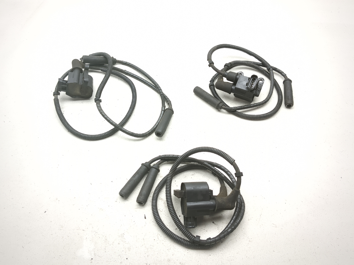 01-05 Honda Goldwing 1800 GL 1800 Ignition Coil Plugs Packs