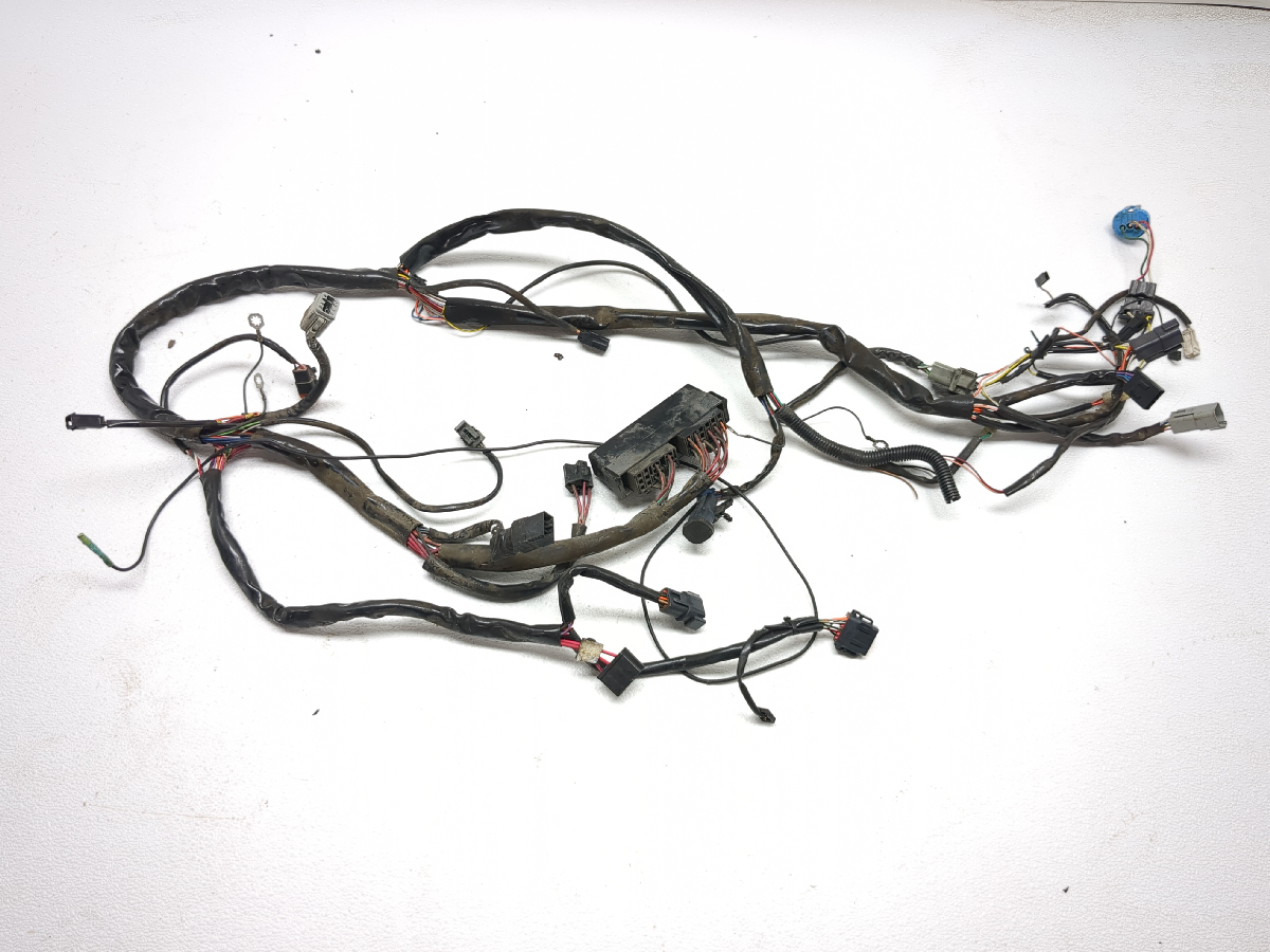 00-06 Harley Davidson FLHR Road King Main Wiring Wire Harness Loom
