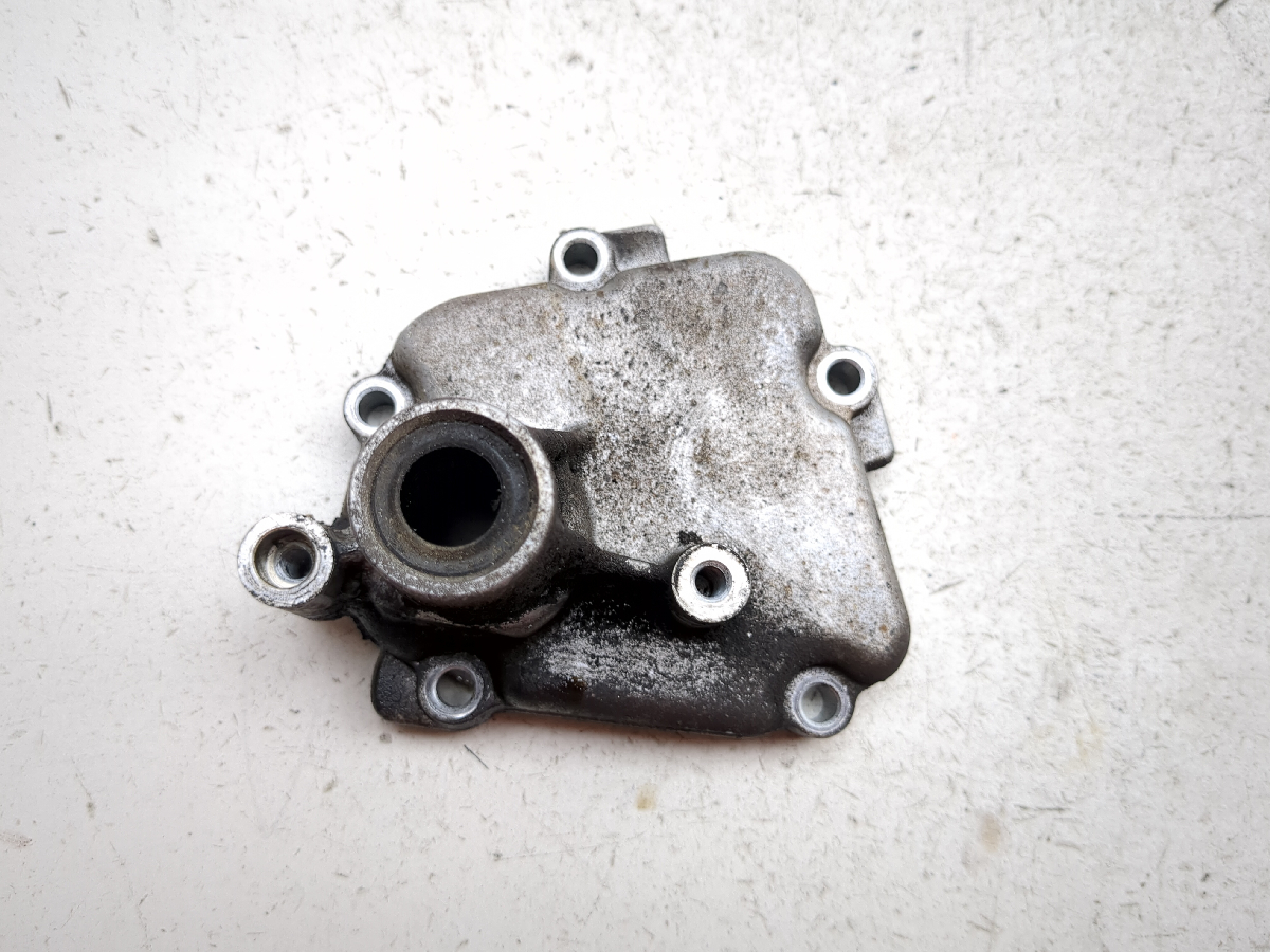 99-07 Suzuki Hayabusa GSX1300R Engine Motor Shift Shaft Cover