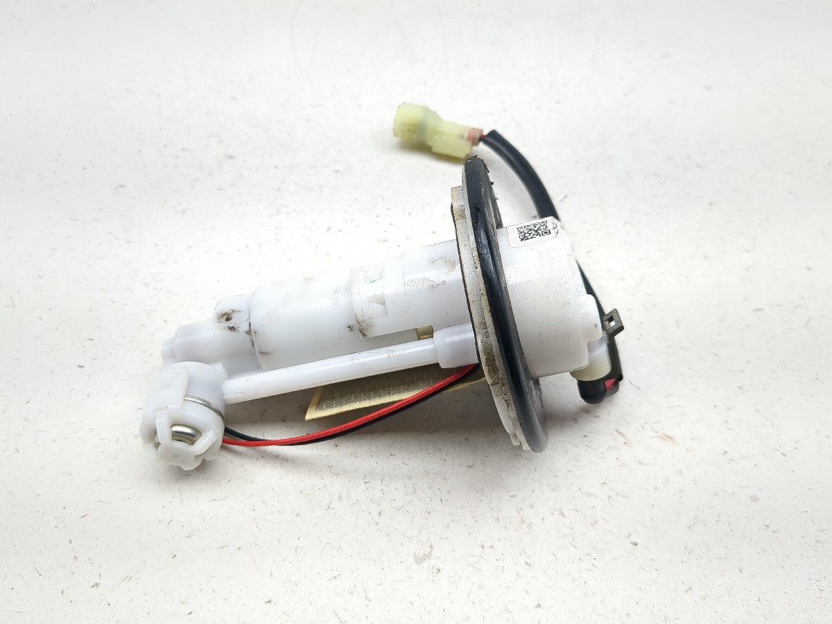 17-25 Benelli TRK 502X Petrol Gas Fuel Pump Assembly 50400P160000