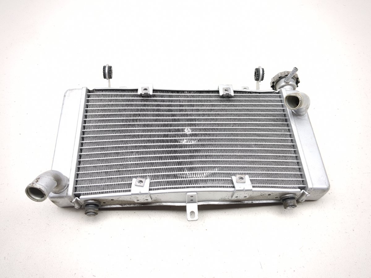 17-25 Benelli TRK 502X Engine Motor Radiator 5000021 - Sun Coast