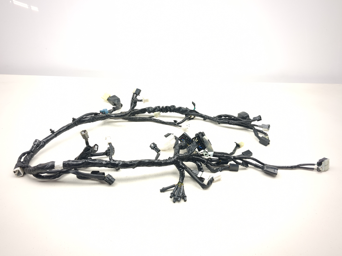 20-25 Kawasaki KLX 230 Main Wiring Wire Harness Loom 26031-2822B