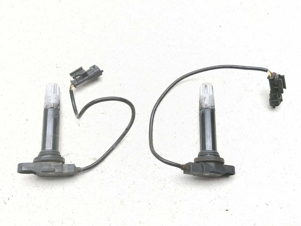 13-15 Ducati Hypermotard 821 Ignition Coil Plugs Packs 0040104004 38010145B
