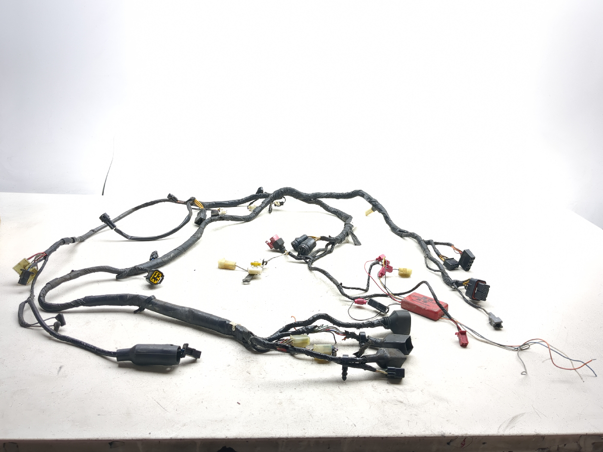 00 01 Kawasaki ZX900E ZX9R Main Wiring Wire Harness Loom