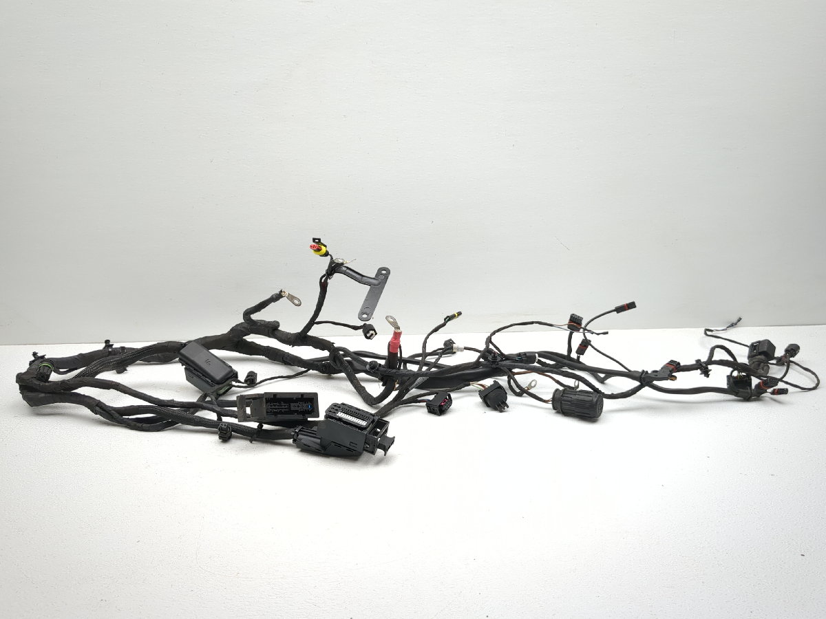 06-13 BMW F800ST Main Wiring Wire Harness Loom