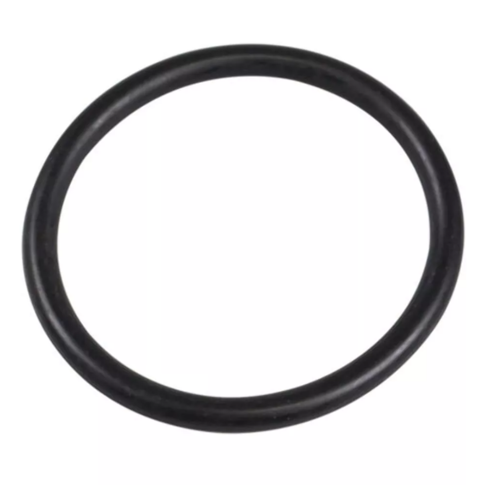 Polaris O-RING BODY 1800030 QTY 2