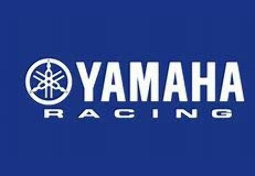 Yamaha 93210-13361-00 O-Ring 932101336100 Made by Yamaha QTY 2