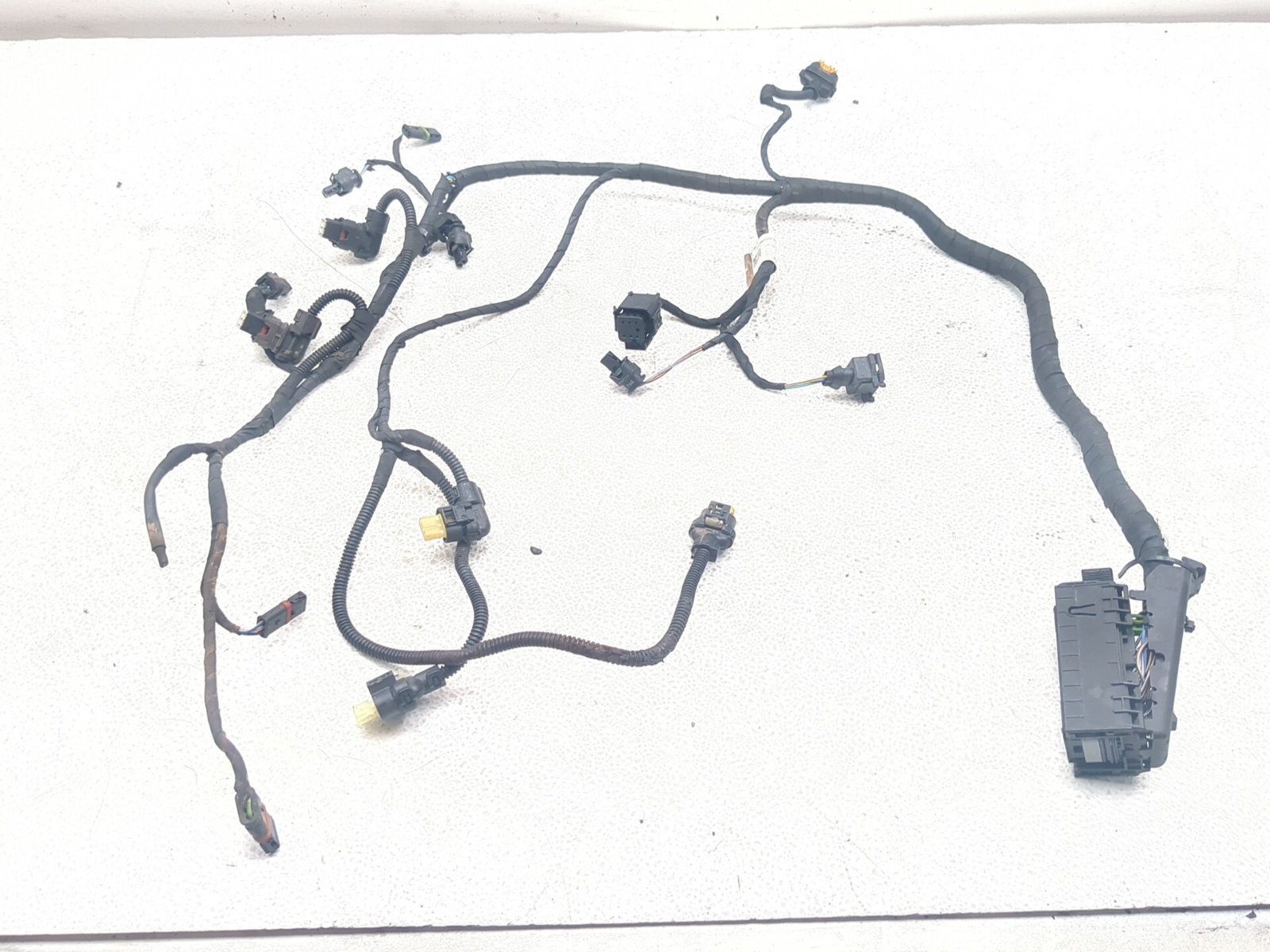 18-23 BMW F850GS Engine Wiring Harness Wire Loom