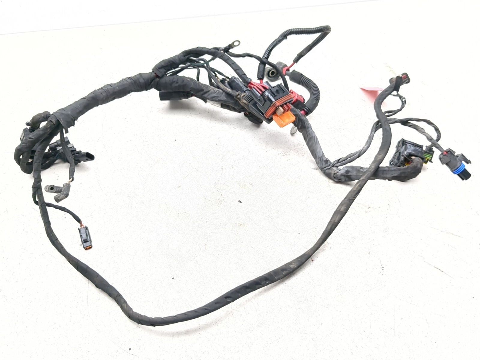 アクセサリー Harley Davidson Dingo ELPASO HARNESS ZIP 22-25 Harley-Davidson FXLRST Low Rider ST Rear Main Wiring Harness