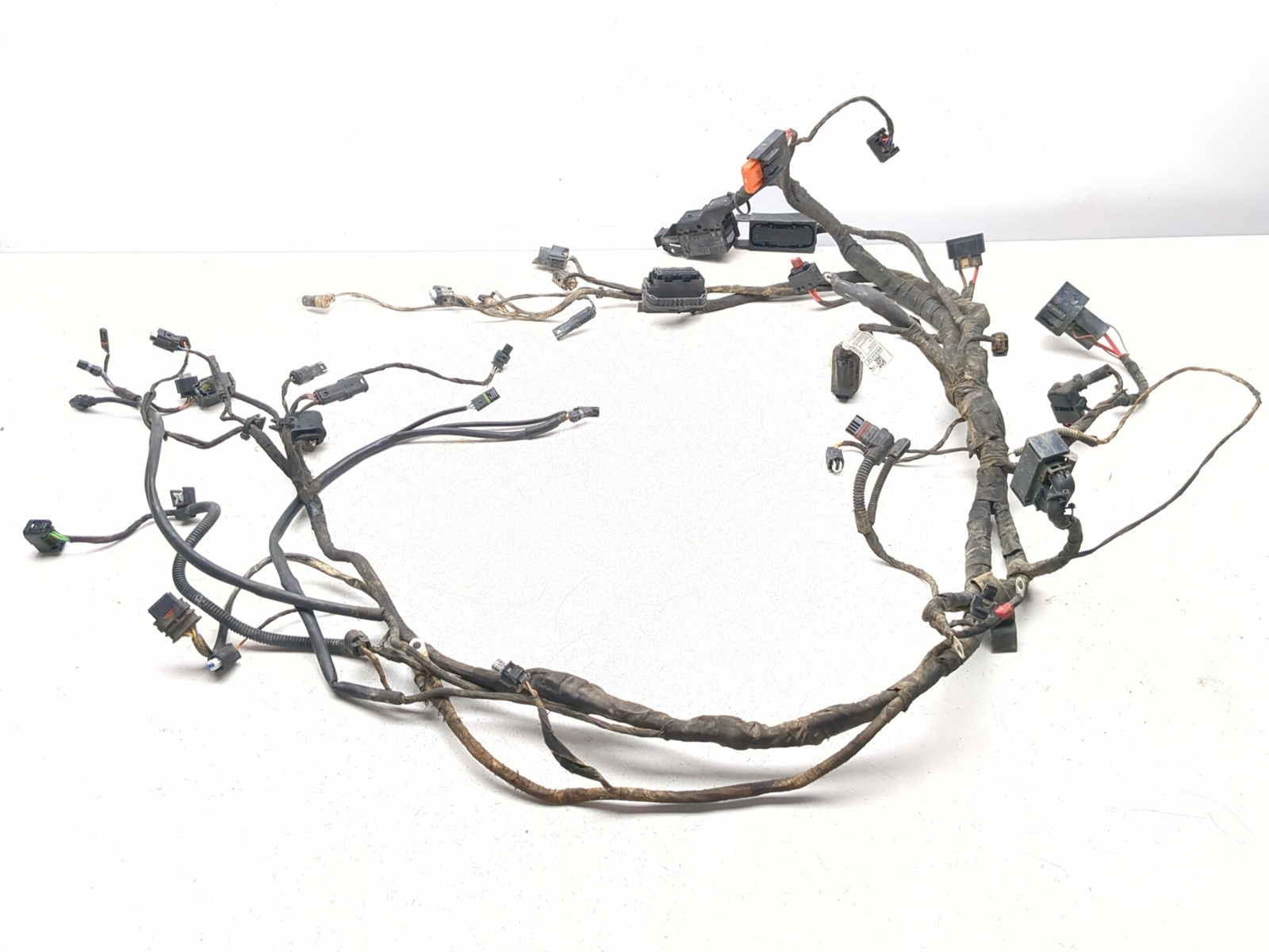 18-24 BMW F850GS GS Main Wiring Harness Wire Loom Electrical 1622416