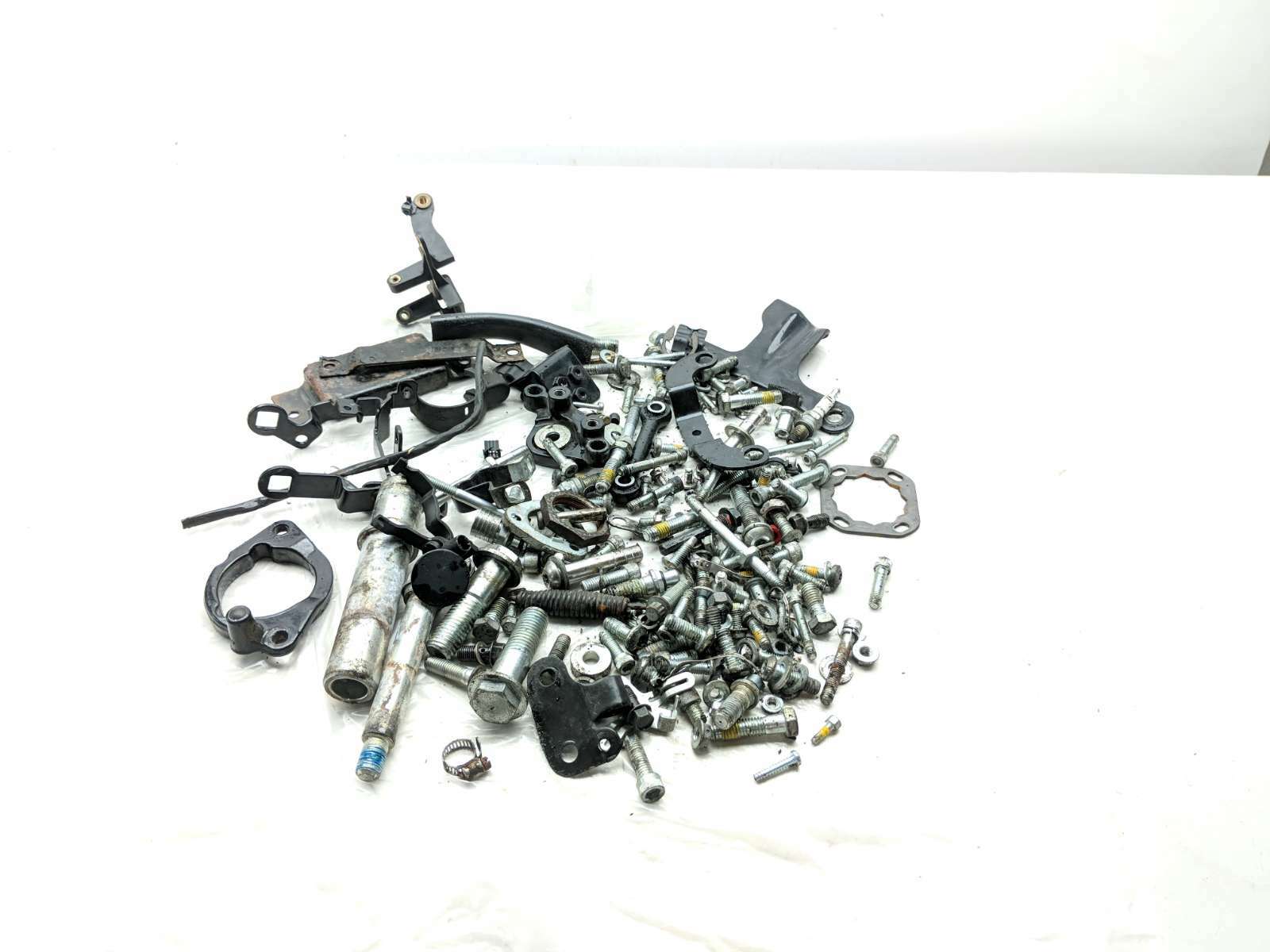 10 Harley Davidson Iron XL883 Miscellaneous Parts Master Hardware Bolt Kit