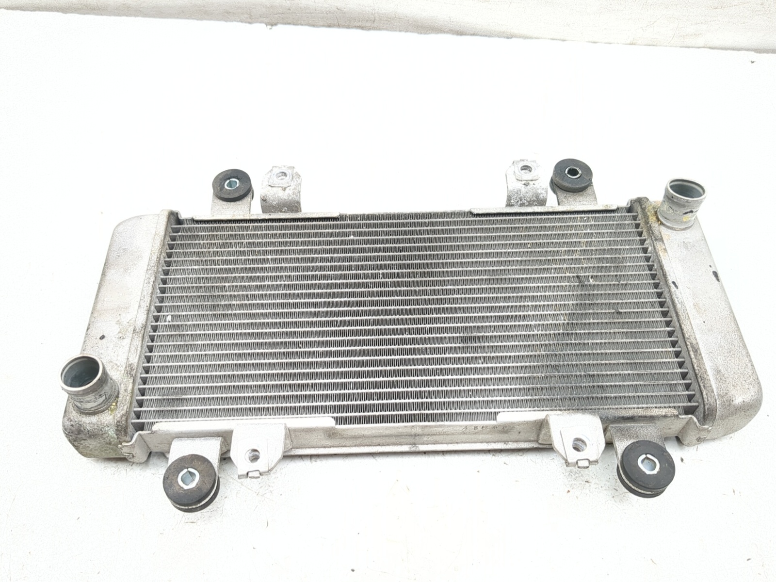 13-17 Kawasaki Ninja 300 EX300B Front Radiator Cooler 39060-0710