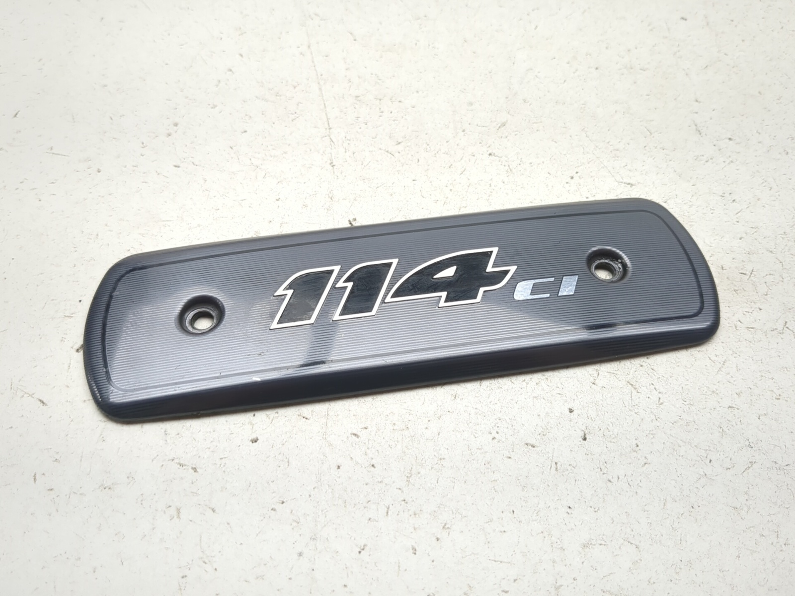 17-23 Harley Davidson Road Glide FLTRXS Air Cleaner Insert