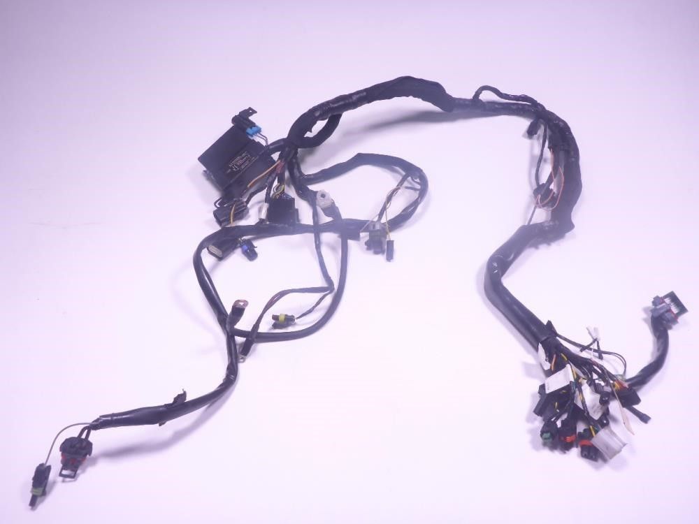 14 Victory Boardwalk Main Wiring Harness Loom 2411867