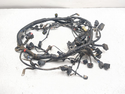 17-19 Triumph Tiger 800 XCX Main Wiring Harness Wire Loom