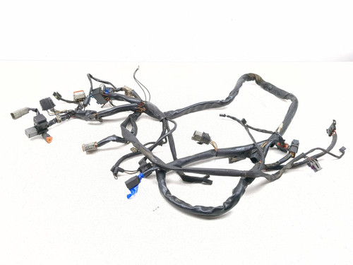 99-05 Harley Davidson FXDWG Dyna Wide Glide Main Wiring Harness