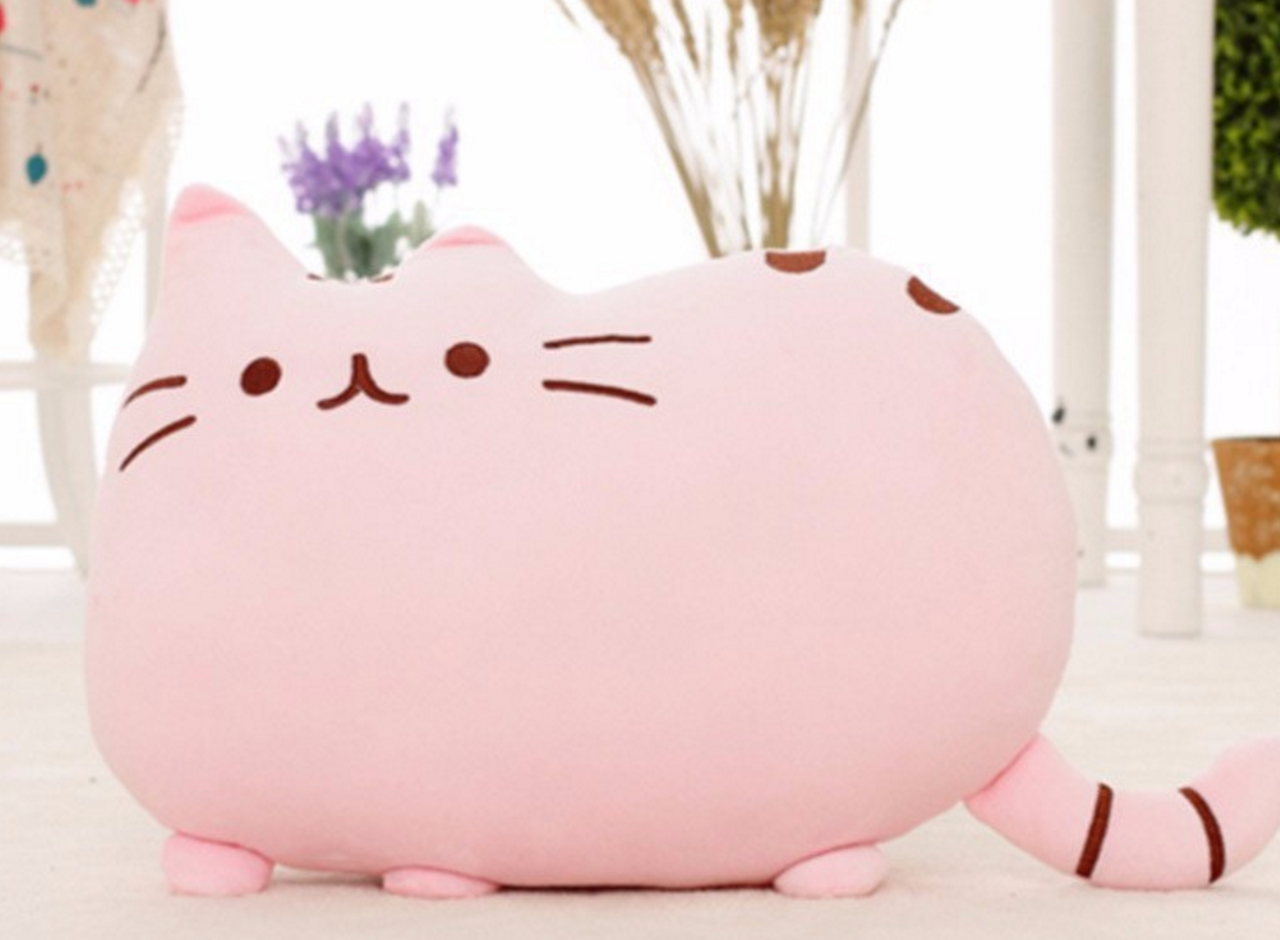 pusheen cat pillow