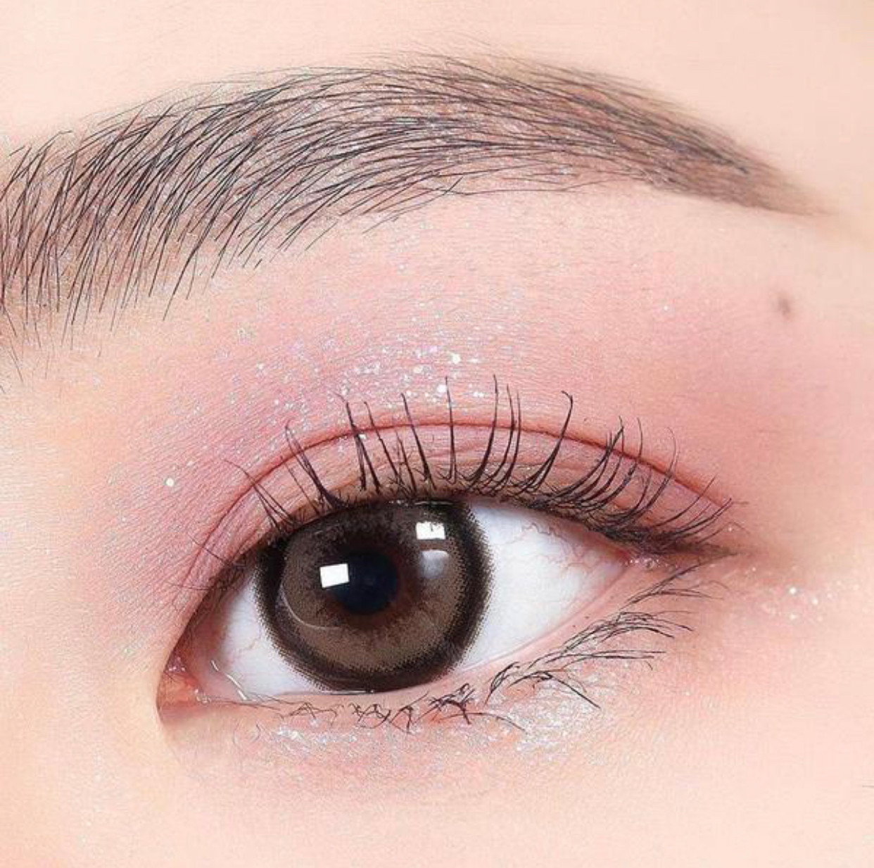 I.Fairy Nanaview Cocoa Brown 16.2mm Color Contact Lens - Ifairycon