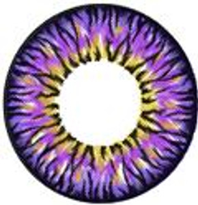 I.Fairy Casper Violet I.Fairy Casper Violet