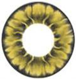 I.Fairy Tofi Gold I.Fairy Tofi Gold