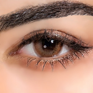 I.Fairy Pegasus Brown 14.5mm I.Fairy Pegasus Brown 14.5mm