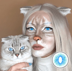 Ragdoll Cat Blue Halloween Contact Lenses Ragdoll Cat Blue Halloween Contact Lenses