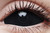 I.fairy sabretooth sclera 22mm contact lenses I.fairy sabretooth sclera 22mm contact lenses