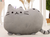 40*30cm Pusheen Cat Pillow Cover With Zipper Only Skin Without Cotton Filling 40*30cm Pusheen Cat Pillow Cover With Zipper Only Skin Without Cotton Filling