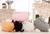 40*30cm Pusheen Cat Pillow Cover With Zipper Only Skin Without Cotton Filling 40*30cm Pusheen Cat Pillow Cover With Zipper Only Skin Without Cotton Filling