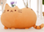 40*30cm Pusheen Cat Pillow Cover With Zipper Only Skin Without Cotton Filling 40*30cm Pusheen Cat Pillow Cover With Zipper Only Skin Without Cotton Filling
