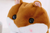 Cute Kawaii Japanese Hamster Plush Toy Backpack Cute Kawaii Japanese Hamster Plush Toy Backpack
