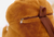 Cute Kawaii Japanese Hamster Plush Toy Backpack Cute Kawaii Japanese Hamster Plush Toy Backpack