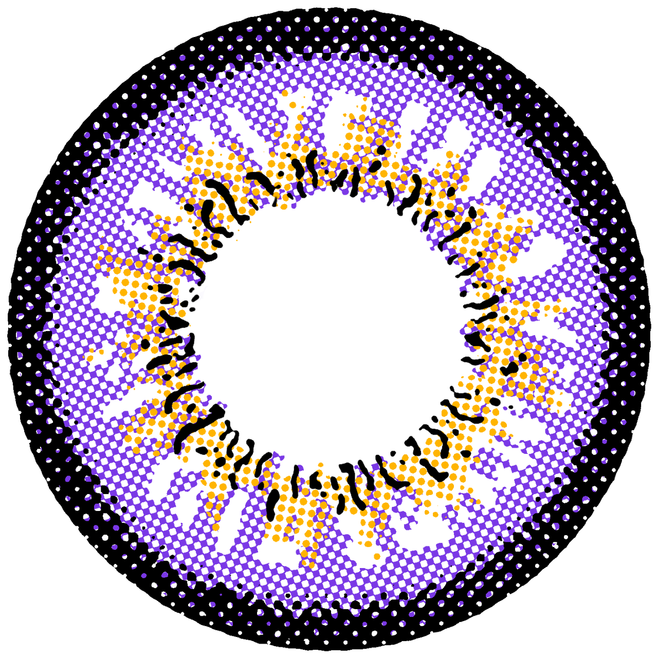 I.Fairy Persian Violet *New* - Ifairycon